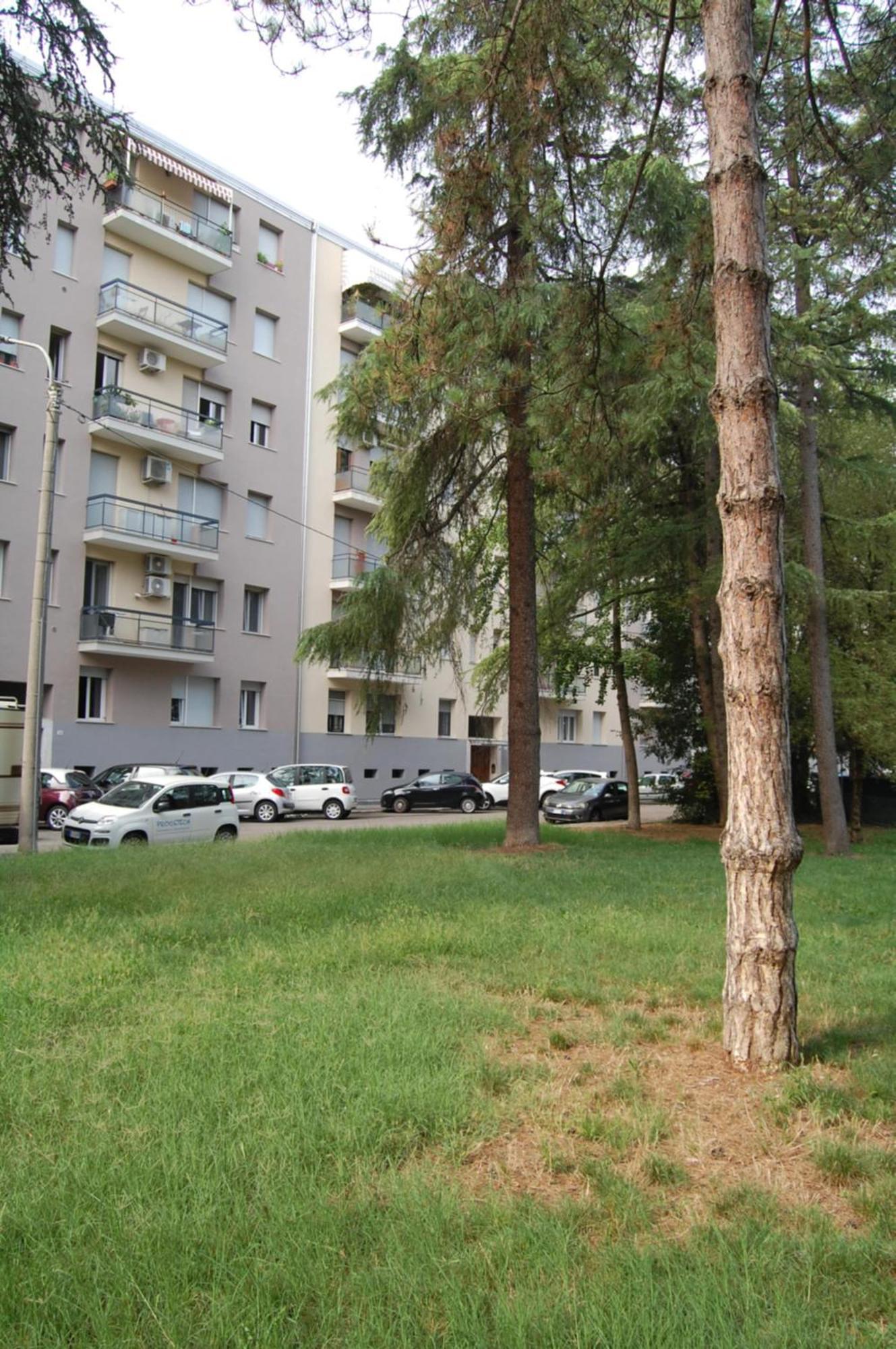 Orchidea Di Tatiana Apartment Bologna Ngoại thất bức ảnh